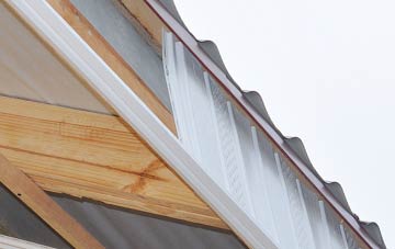 why Little Arowry fascia repairs are essential