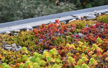 the cost of Little Arowry green roof installation