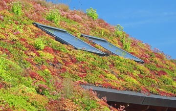 Little Arowry living roof systems