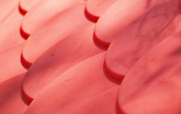 Little Arowry plastic roof costs