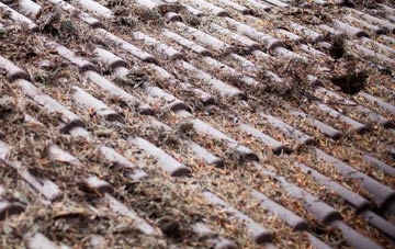 Little Arowry roof cleaning companies