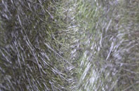 Little Arowry fibreglass roof work